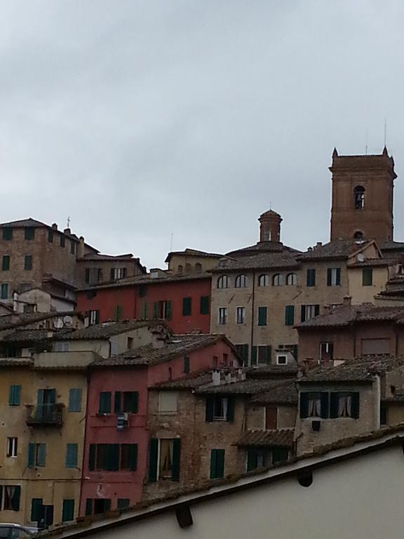 Soggiorno La Primula سيينا المظهر الخارجي الصورة
