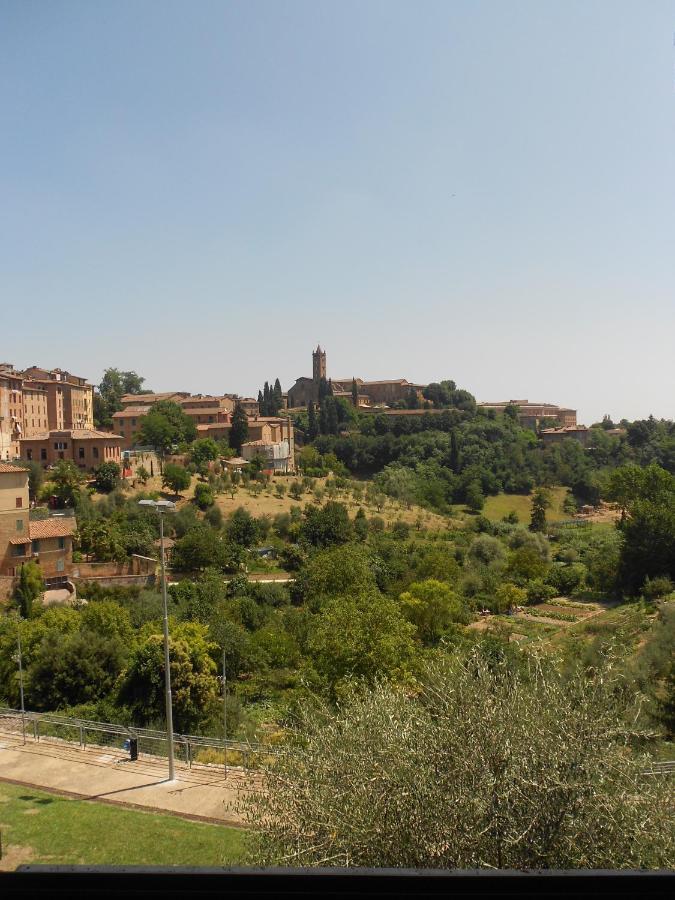 Soggiorno La Primula سيينا المظهر الخارجي الصورة